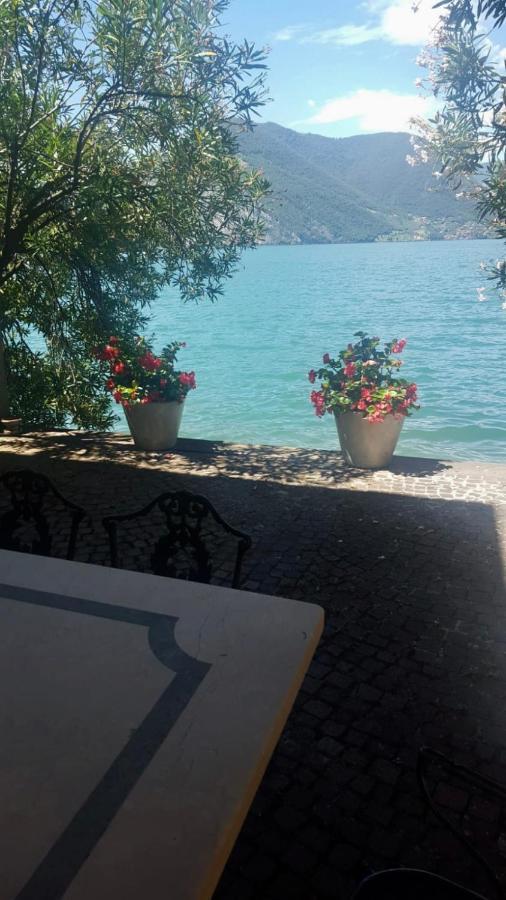 L'Oleandro Sul Lago D'Iseo B&B Sulzano Exteriér fotografie