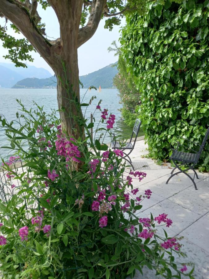 L'Oleandro Sul Lago D'Iseo B&B Sulzano Exteriér fotografie