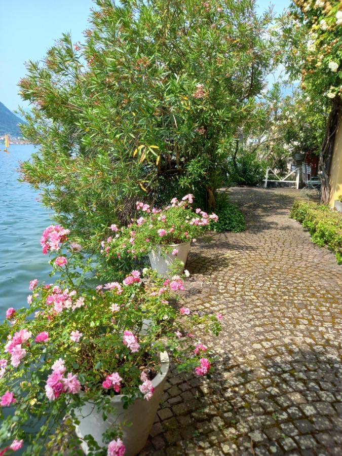 L'Oleandro Sul Lago D'Iseo B&B Sulzano Exteriér fotografie