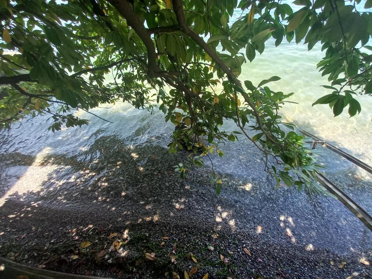 L'Oleandro Sul Lago D'Iseo B&B Sulzano Exteriér fotografie