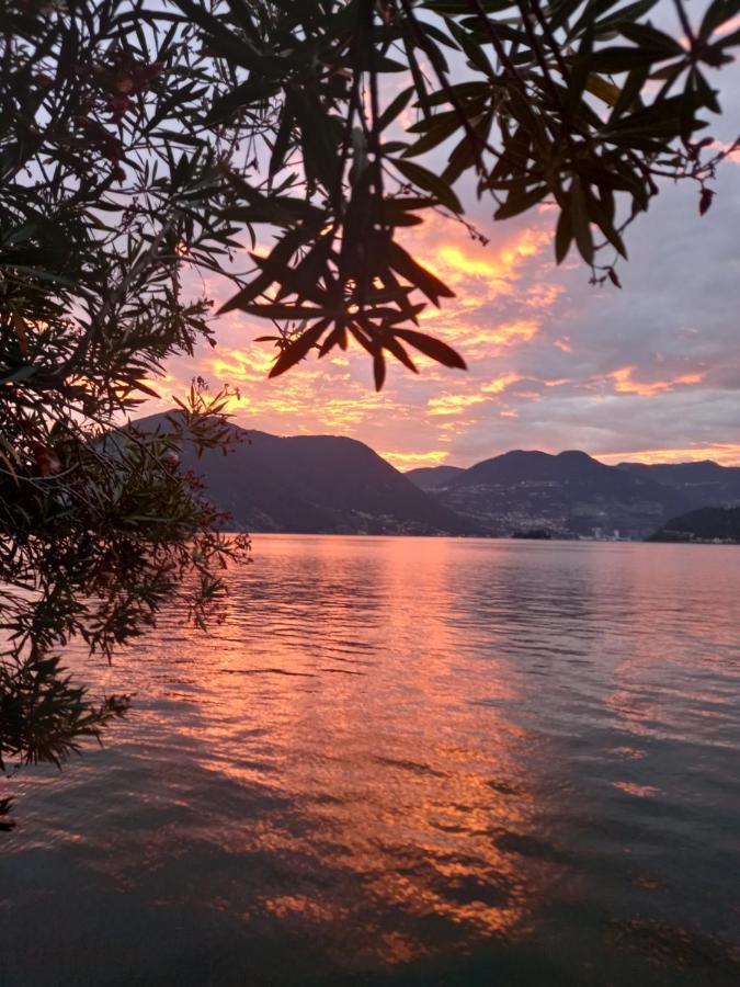 L'Oleandro Sul Lago D'Iseo B&B Sulzano Exteriér fotografie