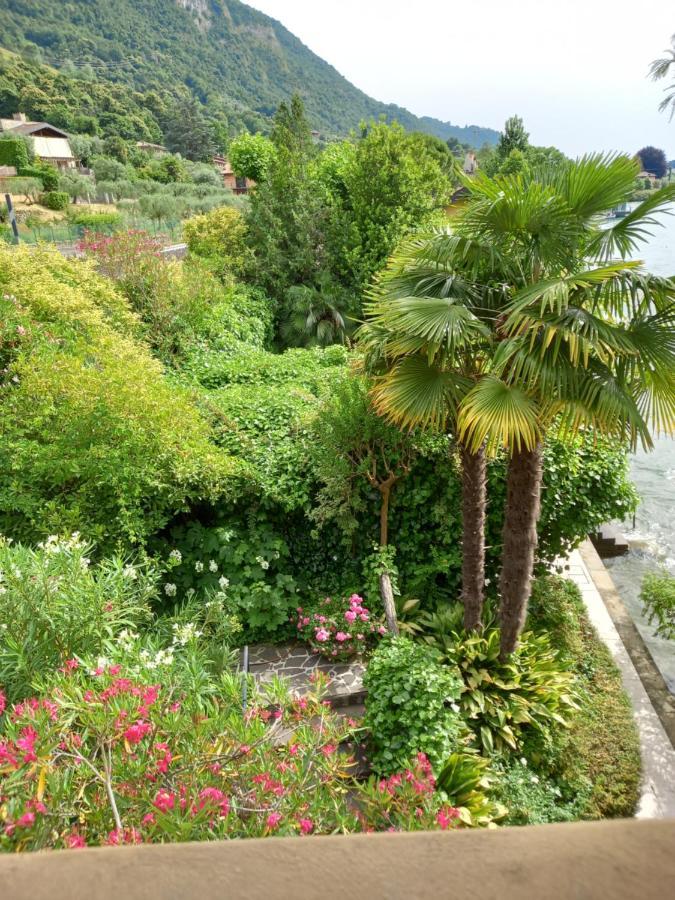 L'Oleandro Sul Lago D'Iseo B&B Sulzano Exteriér fotografie