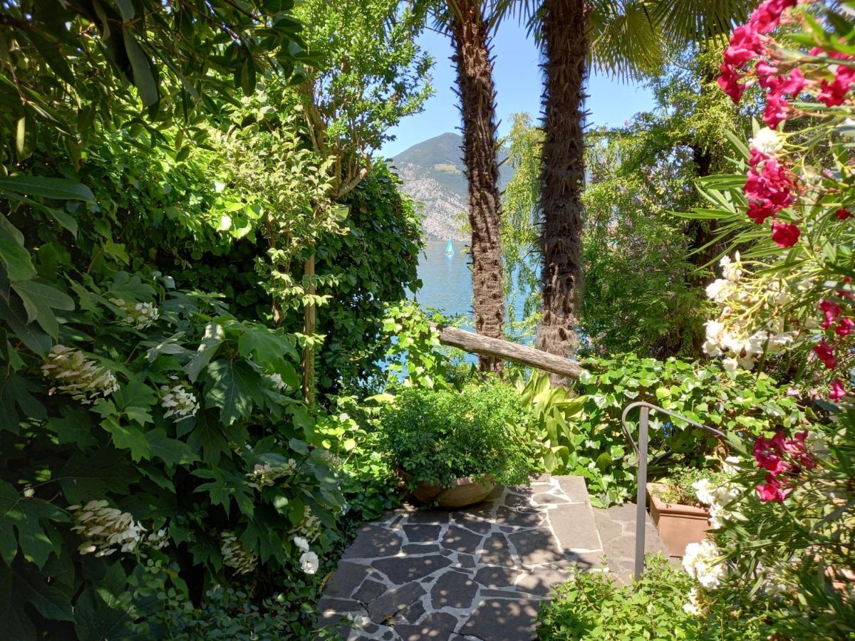 L'Oleandro Sul Lago D'Iseo B&B Sulzano Exteriér fotografie