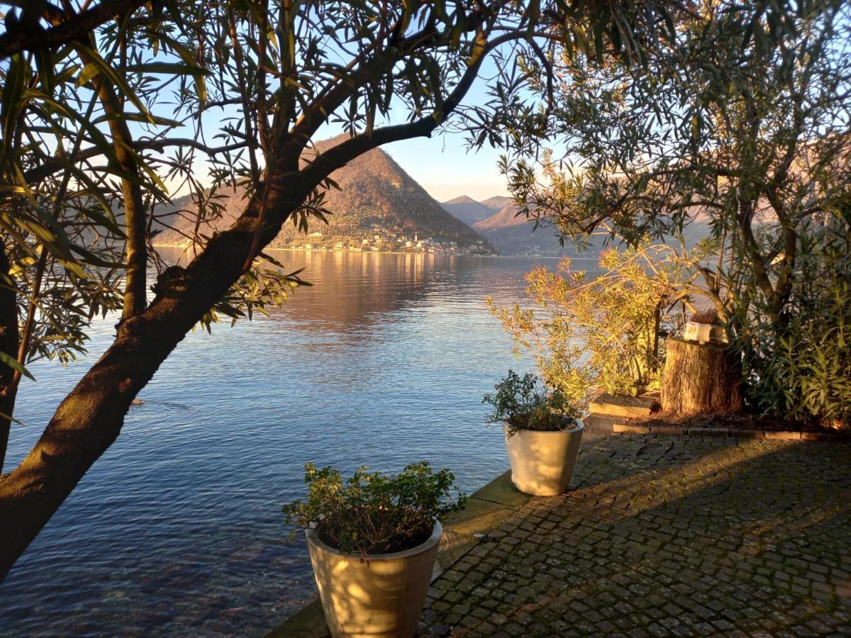 L'Oleandro Sul Lago D'Iseo B&B Sulzano Exteriér fotografie